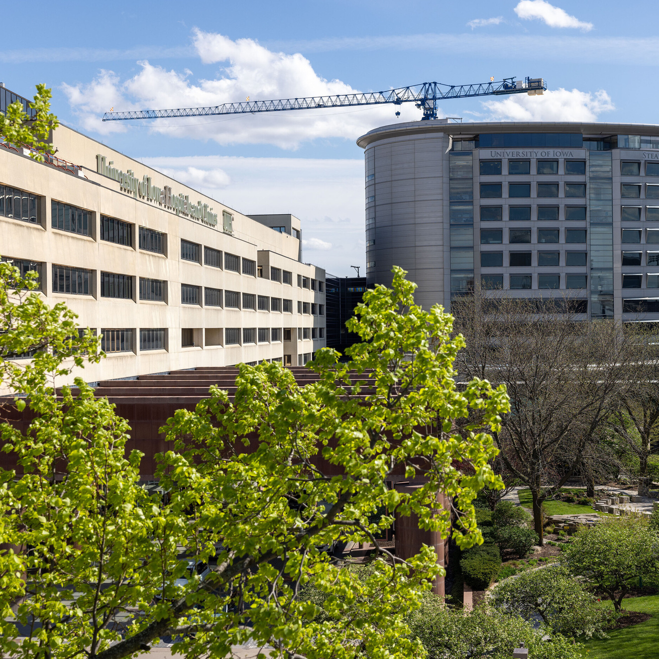 University of Iowa Health Care campus with flowering trees in spring on Friday, April 19, 2024.
