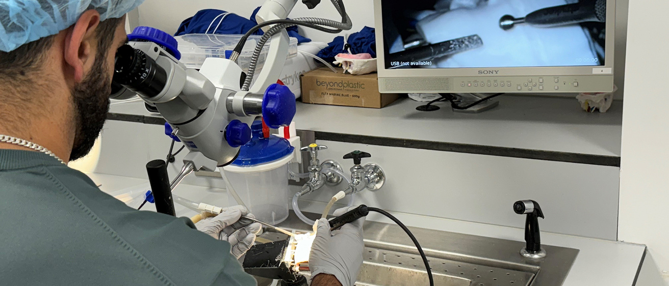 Participant 3D t-bone drilling