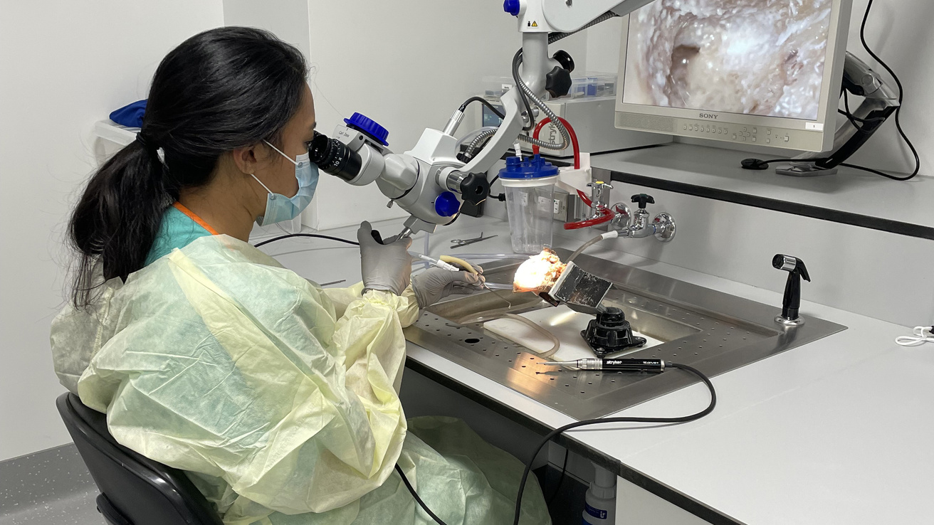 Bioskills